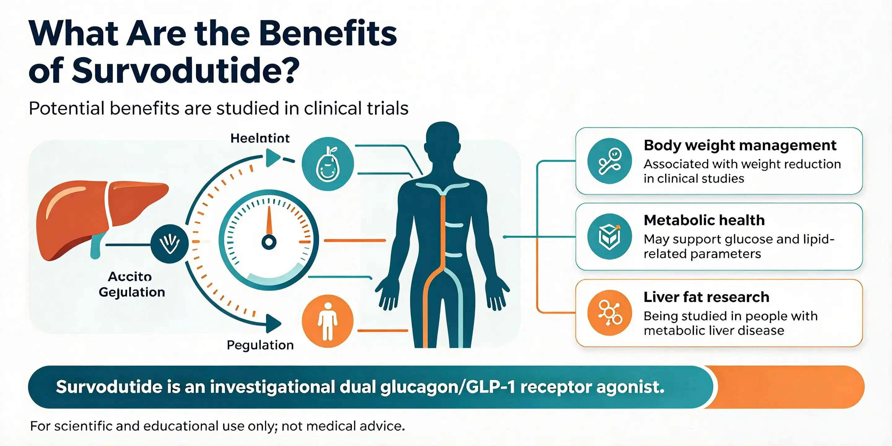 What are the benefits of Survodutide peptides? What are the benefits of Survodutide peptides?